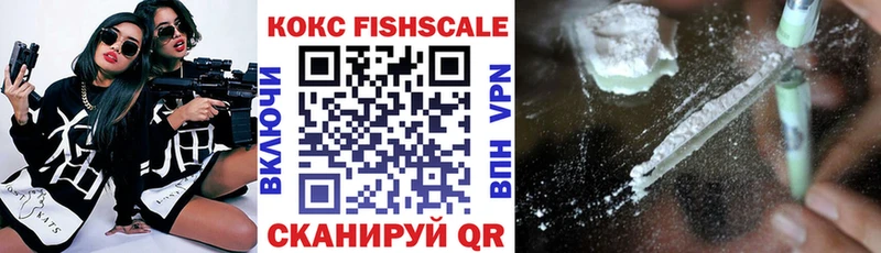 Купить закладки  Медынь  COCAIN VHQ 