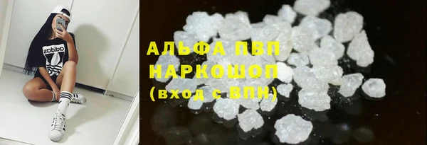 шишки Ладушкин