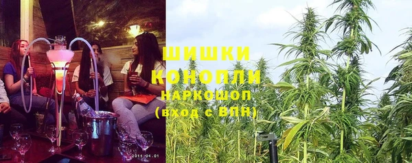 шишки Ладушкин