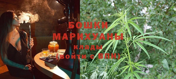 шишки Ладушкин