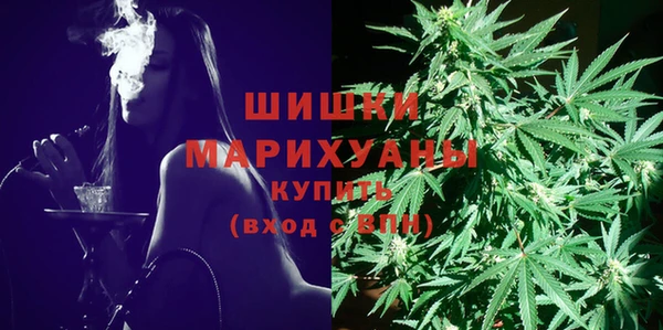эйфоретик Липки