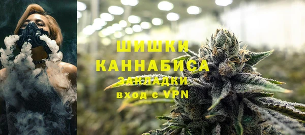 шишки Ладушкин