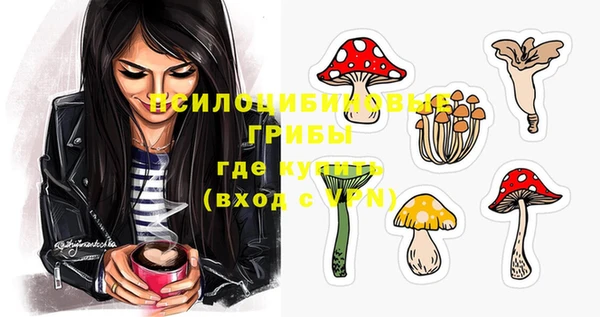 эйфоретик Липки